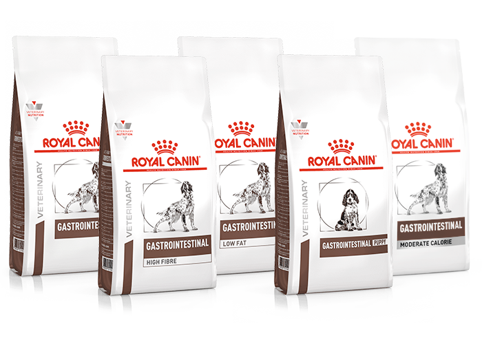 Royal Canin Gastrointestinal