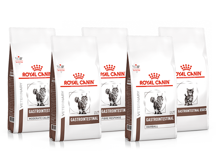 Royal Canin Gastrointestinal