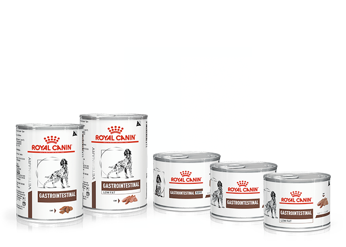 Royal Canin Gastroinstestinal