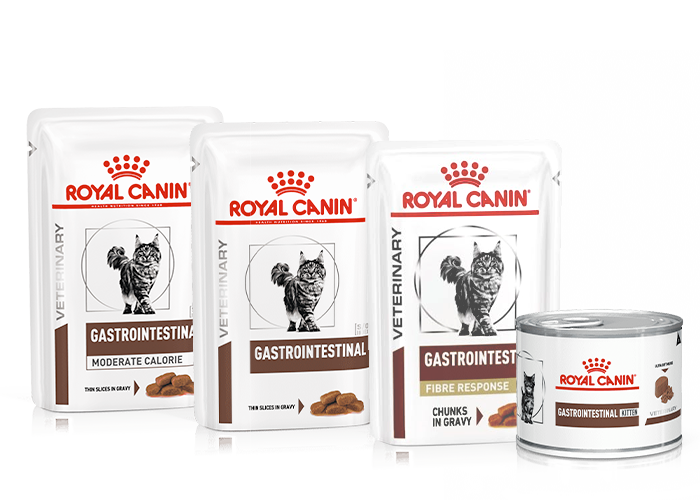 Royal Canin Gastrointestinal