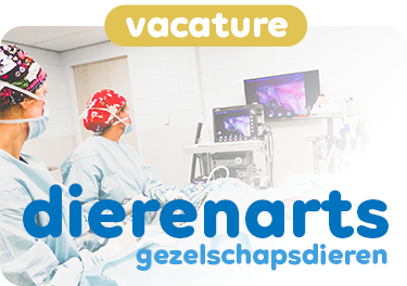 Wij zijn op zoek naar een dierenarts gezelschapsdieren!