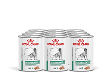 Glycobalance Dog Low Carbohydrate | Tray blikken (410g)